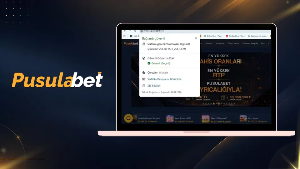 Tarayıcıda SSL sertifikası kontrolü